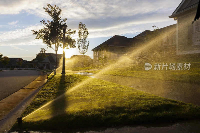 洒水器在夕阳下浇灌草地。