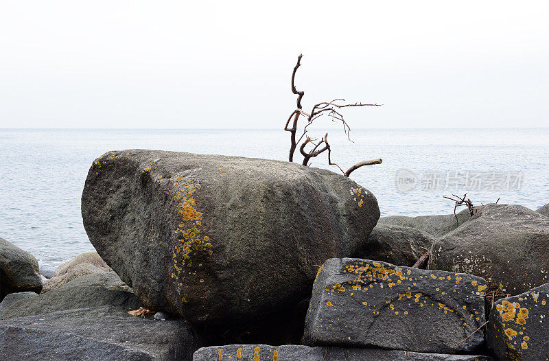 波罗的海Hiddensee岛的岩石屏障(德国)