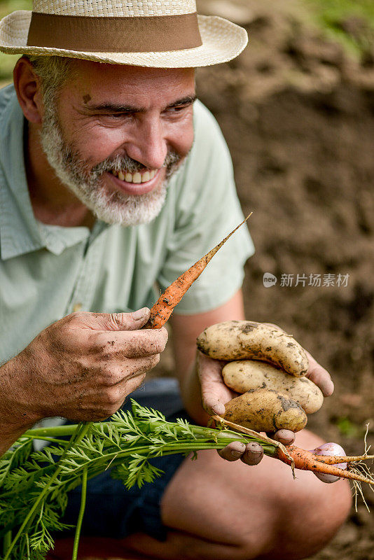 快乐农民品尝自家种植的胡萝卜