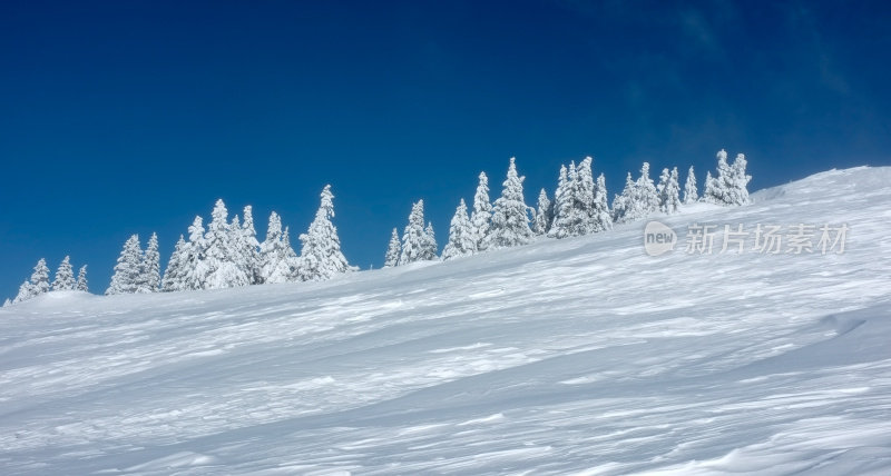 典型的瑞士冬季景观