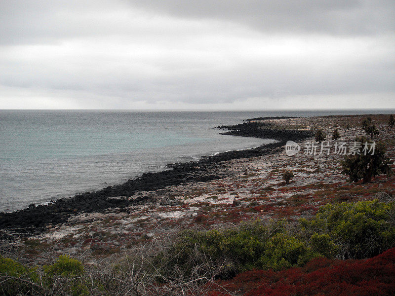 加拉帕戈斯群岛:南广场岛崎岖的海岸线