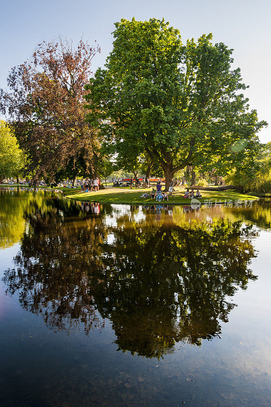 Vondelpark水反射