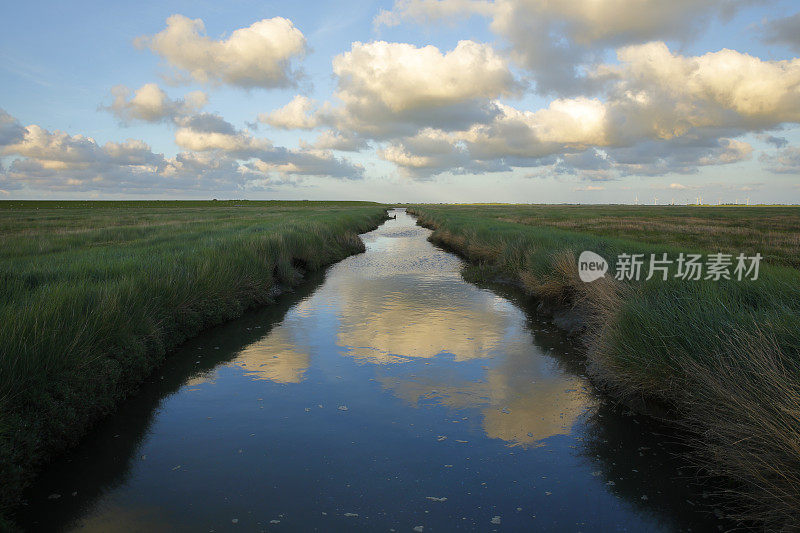 天然水道在野生海草草地