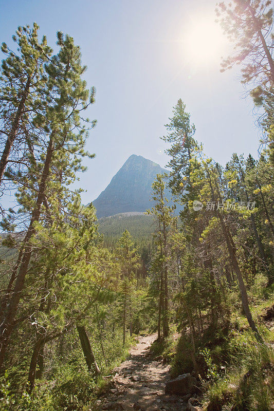 阿尔伯塔省坎莫尔附近的落基山景