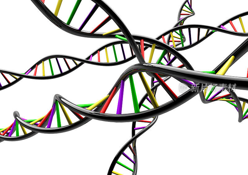 DNA链基因基因组在白色