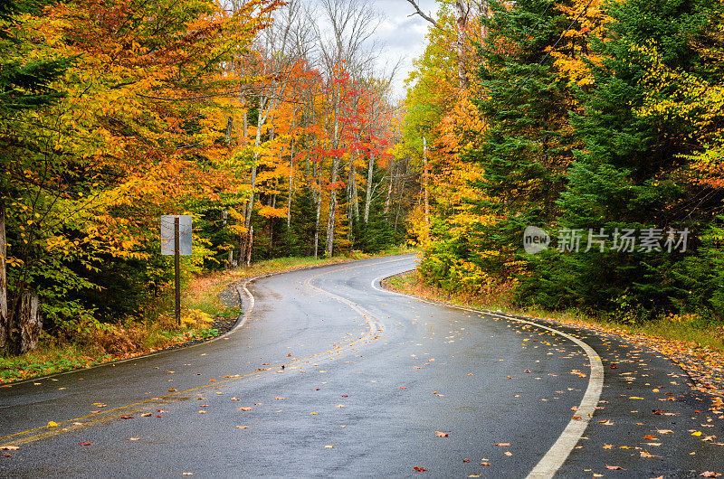 秋天蜿蜒的山路穿过一片森林