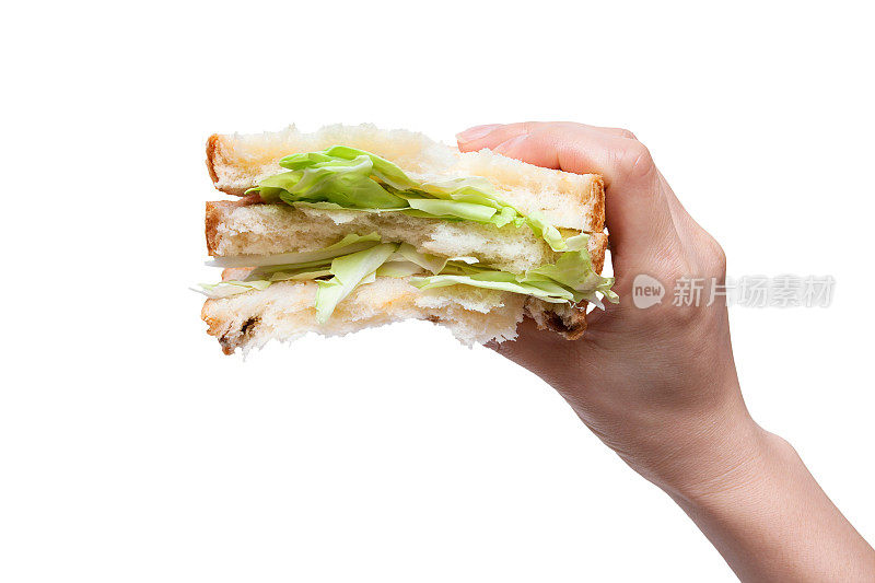 拿着一个孤立在白色背景上的蔬菜三明治