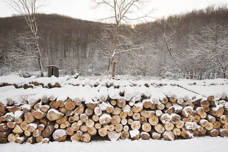 冬天森林旁边一堆被雪覆盖的柴火