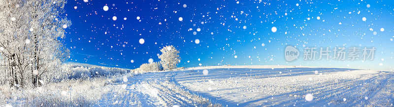 乡村冬季的景色是蓝天、田野和森林的全景