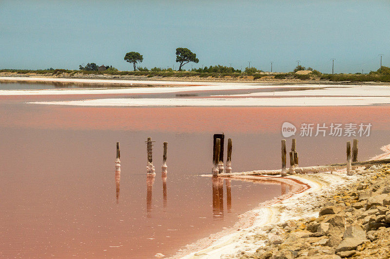 法国卡马尔格的盐盆地