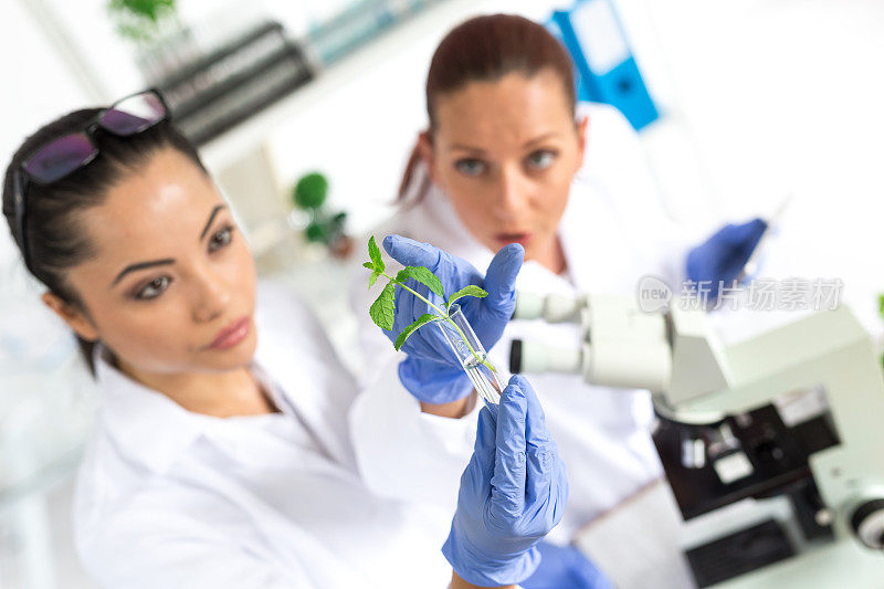 女性生物学家在实验室测试生长