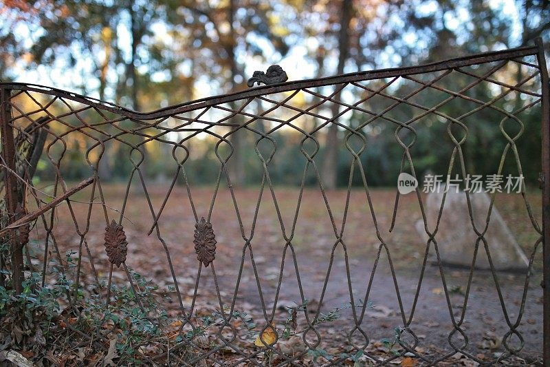 老墓地生锈的金属门栅栏