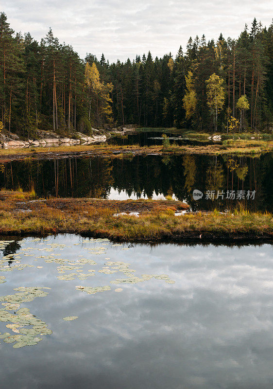 Nuuksio国家公园的秋季景观(芬兰，赫尔辛基)