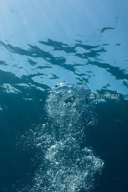 许多气泡在水下移动