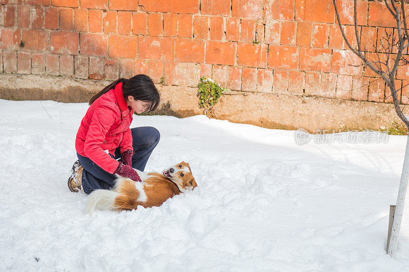 一个女人在雪里和狗玩