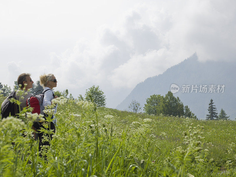 徒步旅行的夫妇走过草地