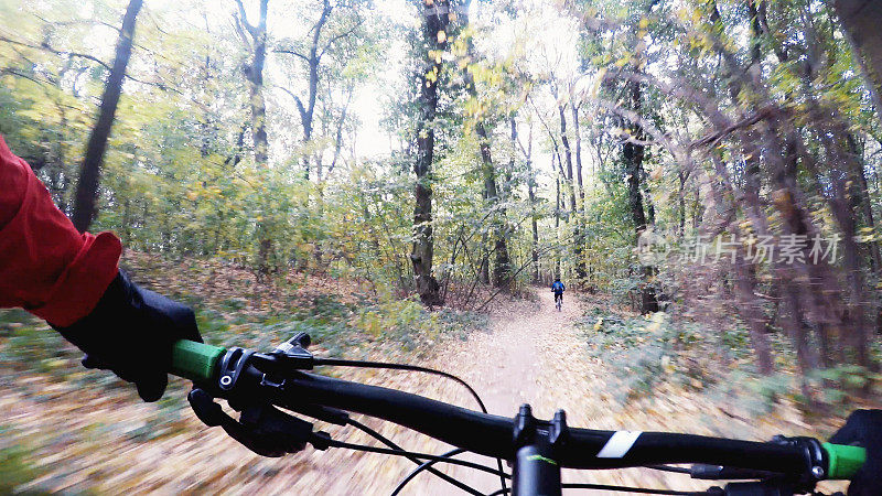 在森林里骑着一条快速的小路