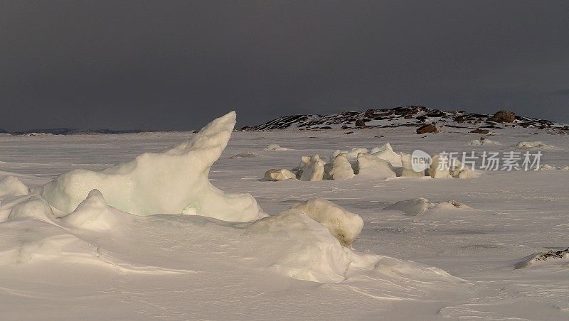 结冰的峡湾上的熊形冰
