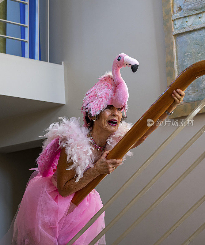 高级女人穿着自制的火烈鸟服装，从一个聚会的栏杆上滑下来。