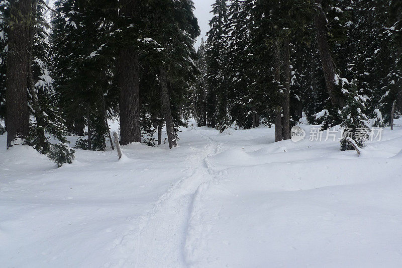 英联邦盆地雪鞋