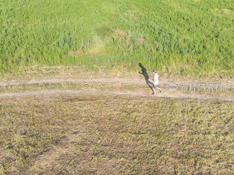 英俊的成年男子慢跑在泥泞的乡村道路穿过草地在阳光明媚的夏天