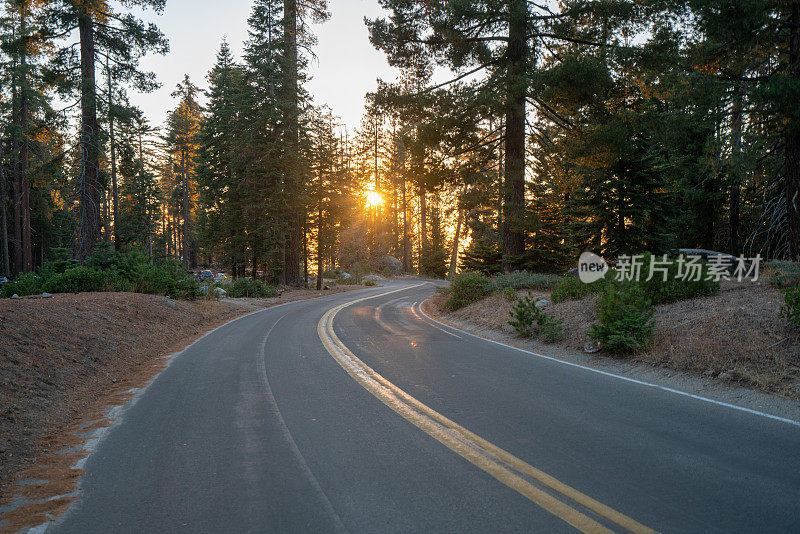 空旷的高速公路穿过红杉林