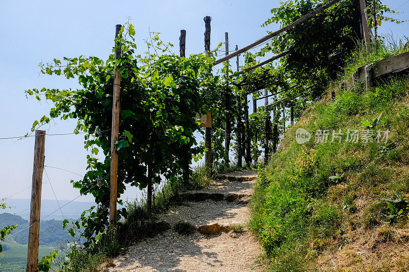 夏天的普洛赛克山，瓦尔多比亚丁