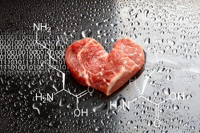 在不锈钢容器中加入一滴培养基的心形人造牛肉。反射是由氨基酸、赖氨酸和亮氨酸组成的细胞图像。