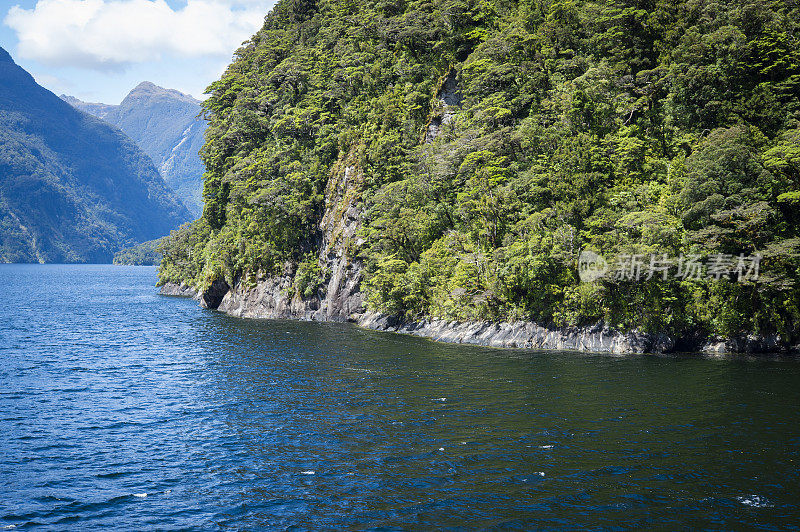 马纳波里湖和新西兰可疑之声