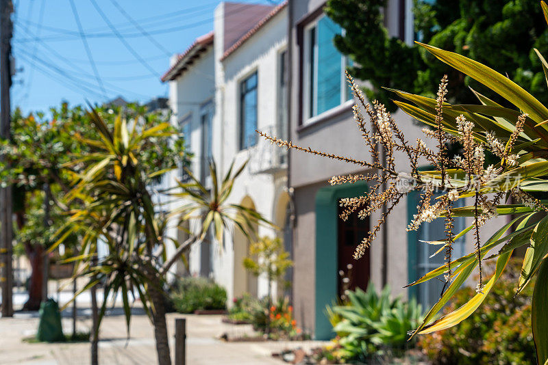 旧金山排屋