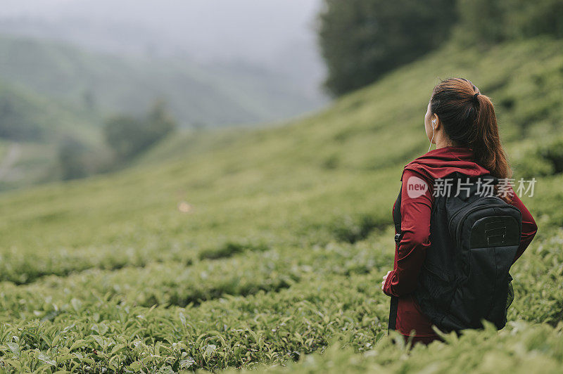 亚洲中国游客美丽的女人与连帽衬衫在卡梅伦高地茶园享受美丽的自然和早晨的新鲜空气