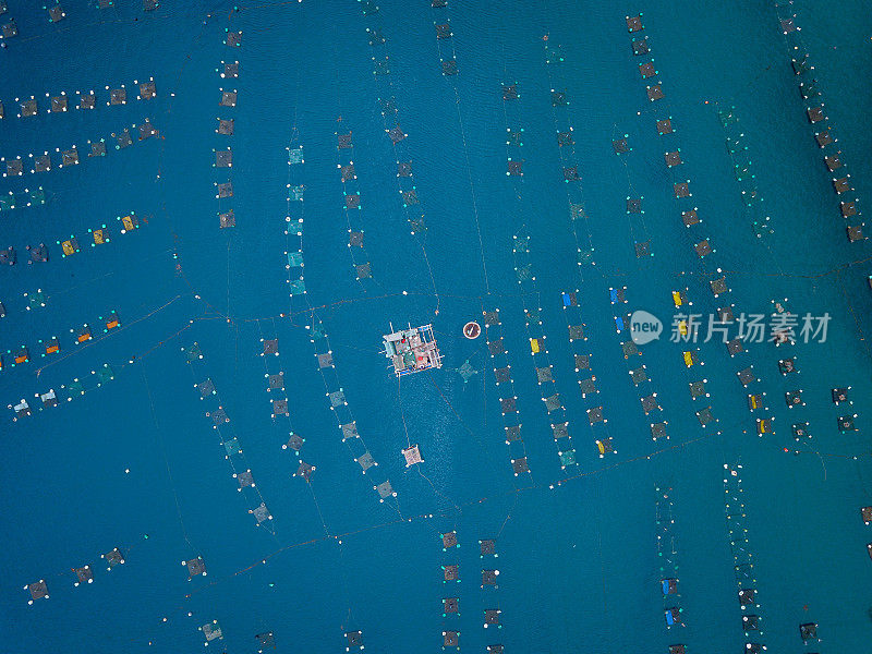 越南中部沿海富颜省汉颜海域的龙虾养殖场