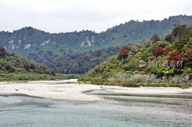 狐狸河口，狗仔队国家公园，新西兰西海岸