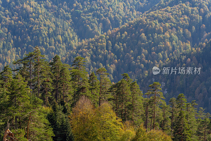 秋天在耶迪戈勒(七湖)国家公园博鲁土耳其