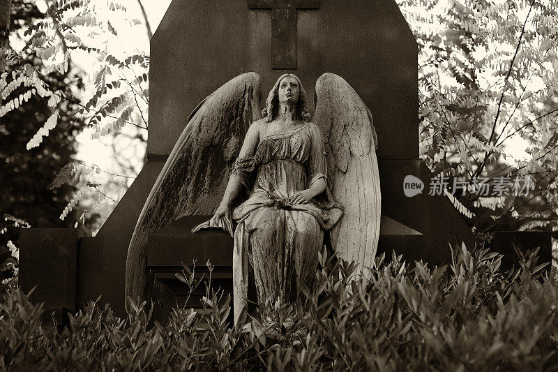 墓地里的古代天使雕像