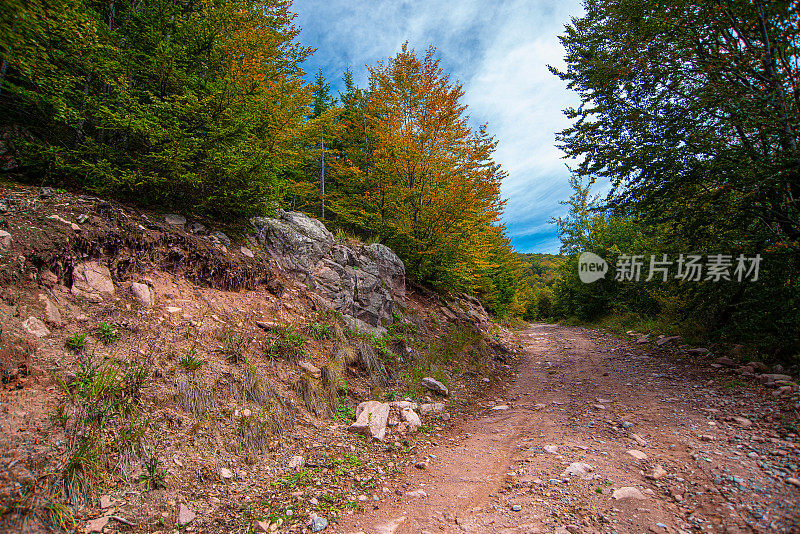 老山或斯塔拉平原，白天的路