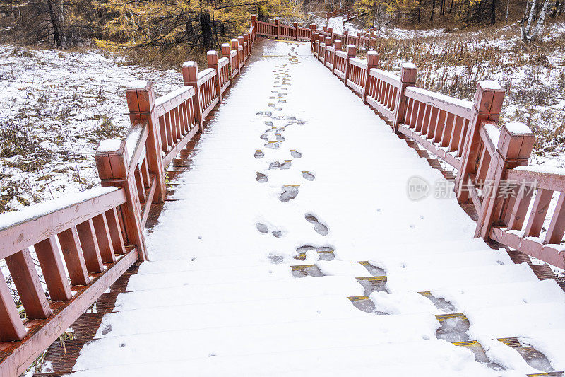 湖边树林里的木质楼梯上覆盖着积雪和脚印