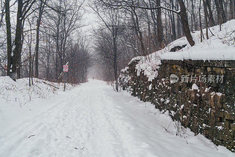 安大略汉密尔顿-布鲁斯步道-沿着悬崖步道在冬天