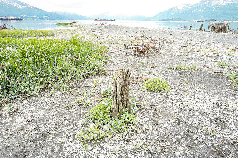 阿拉斯加的风景