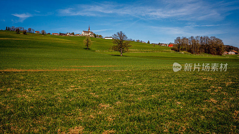 田园诗般的风景。瑞士的农田，树木和房屋。