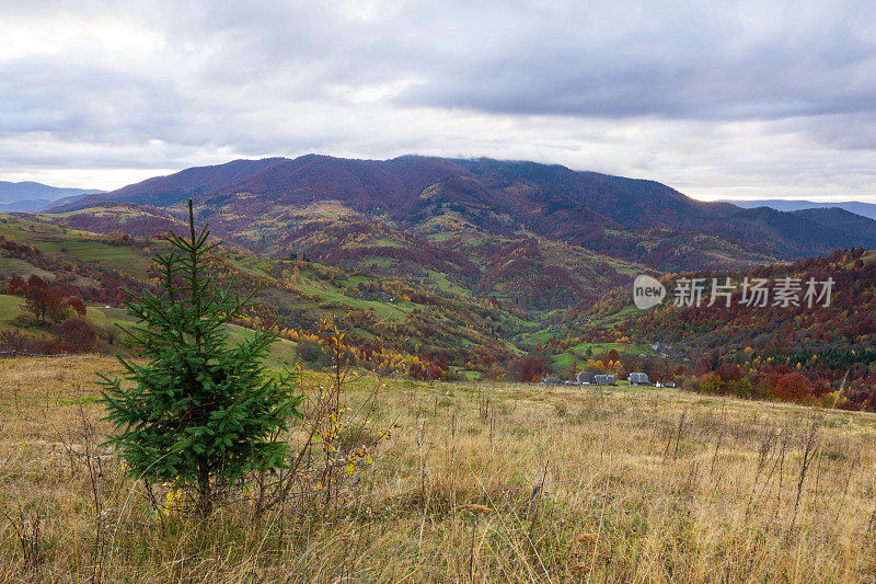 奇异多彩的山景与云。乌克兰,喀尔巴阡山