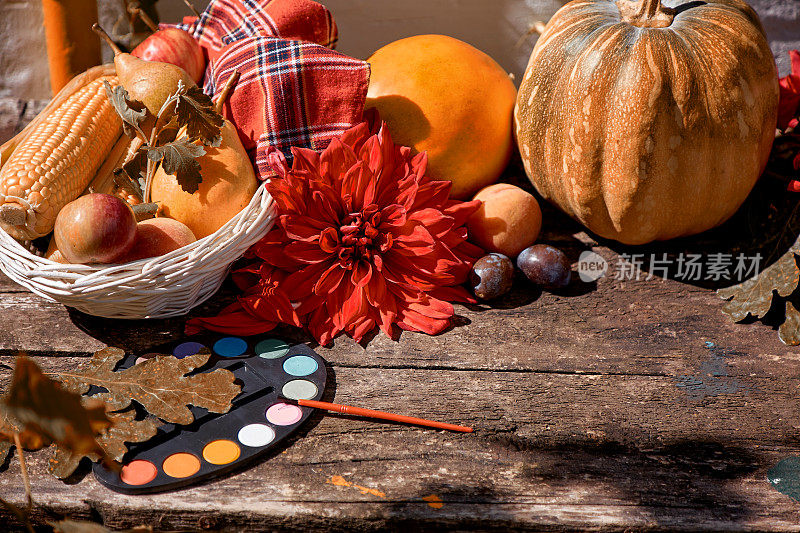 秋天的美展:黄色的水果和蔬菜，亮色的画笔，南瓜，梨，苹果和甜瓜。感恩节的概念。秋天的静物与红色的georgine，现代的影子