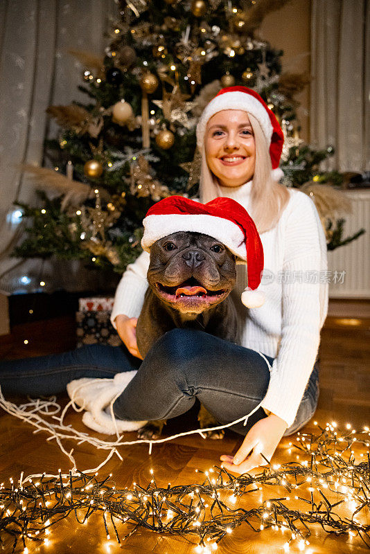 年轻女子和她的法国斗牛犬在圣诞树前的肖像