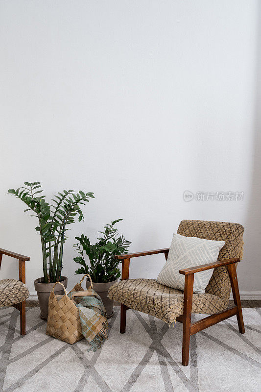 舒适的客厅，复古扶手椅，室内植物和地毯上的篮子