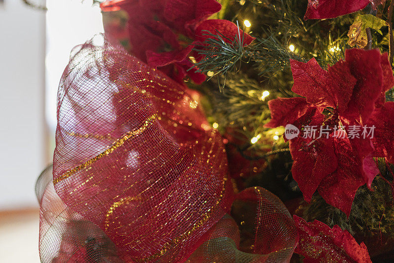 圣诞节装饰的一个房子的客厅