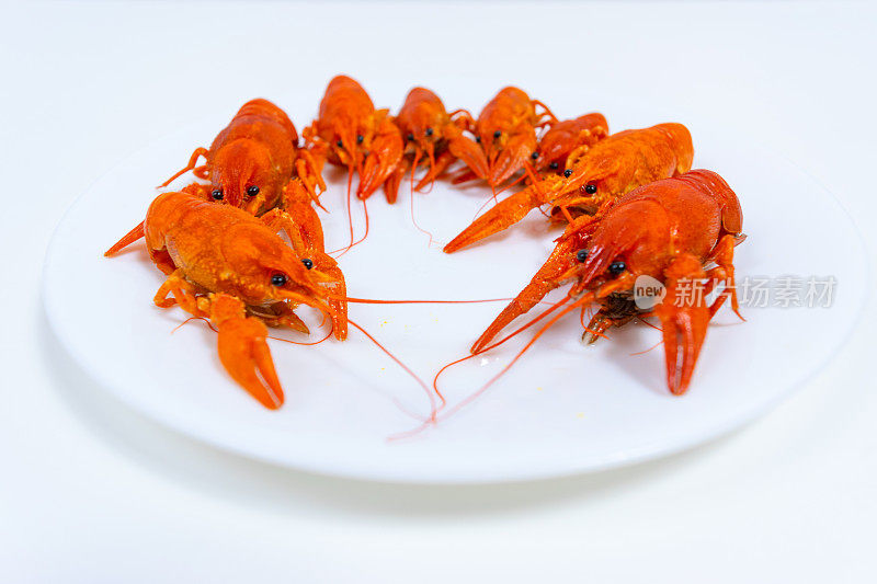 一群煮熟的河红小龙虾放在盘子里。白色背景。
