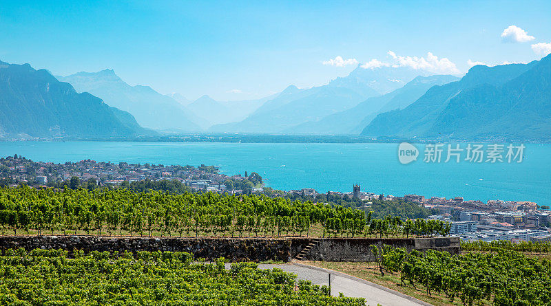 日内瓦湖和葡萄园-瑞士拉沃区