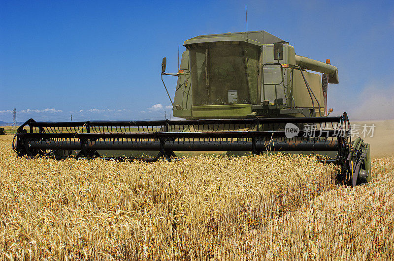 加利福尼亚农场的联合收割小麦