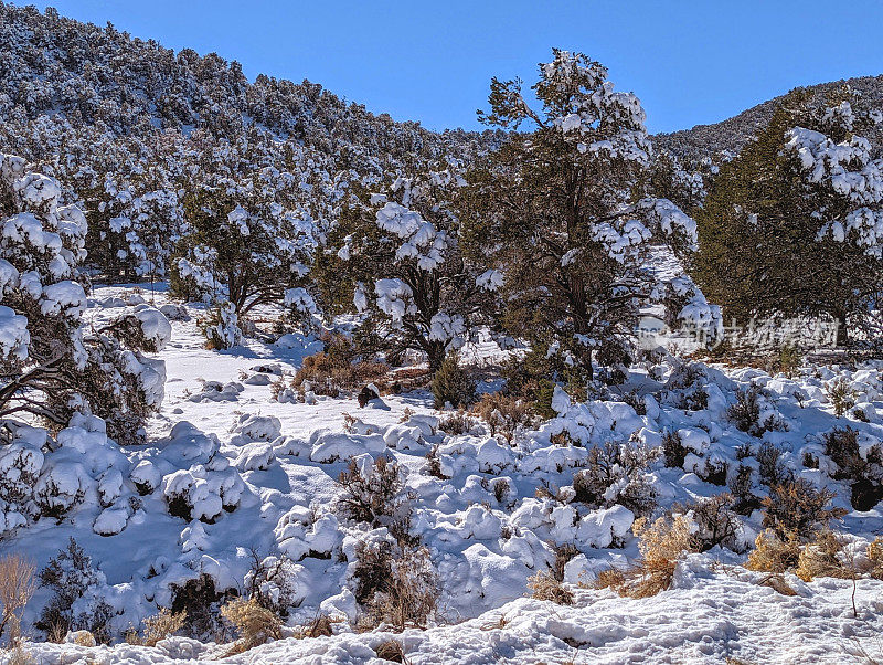 犹他州中部沿着I-15号公路的海狸山顶上的高沙漠景观和植被上的雪