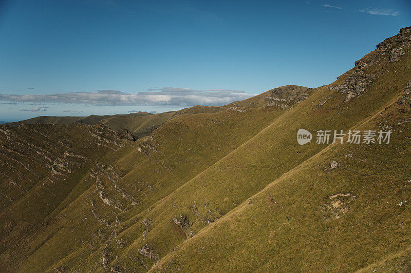 绿色的山